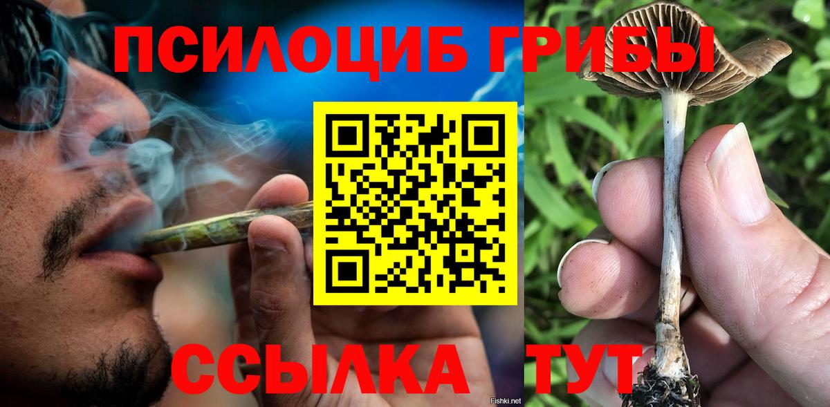 Псилоцибиновые грибы Cubensis  Галлюциногенные грибы Cubensis  Вход с VPN  сколько стоит  Людиново 