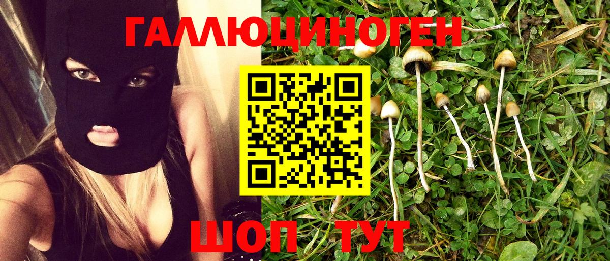 Псилоцибиновые грибы GOLDEN TEACHER Людиново